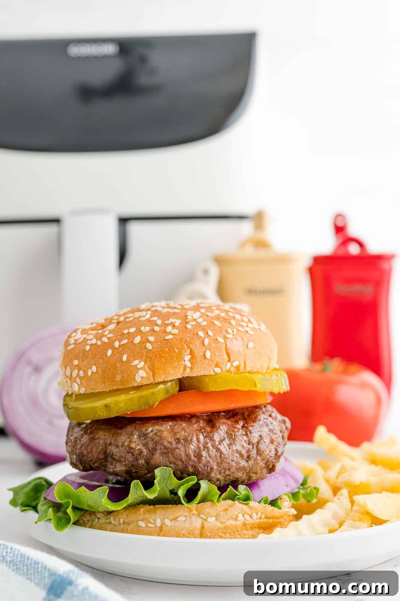 Burger with air fryer in background.