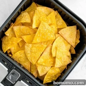 Air fryer basket filled with crispy corn tortilla chips.