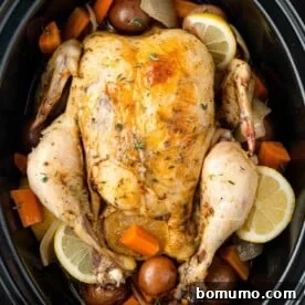 A succulent whole chicken cooking in a crockpot with tender potatoes and carrots.
