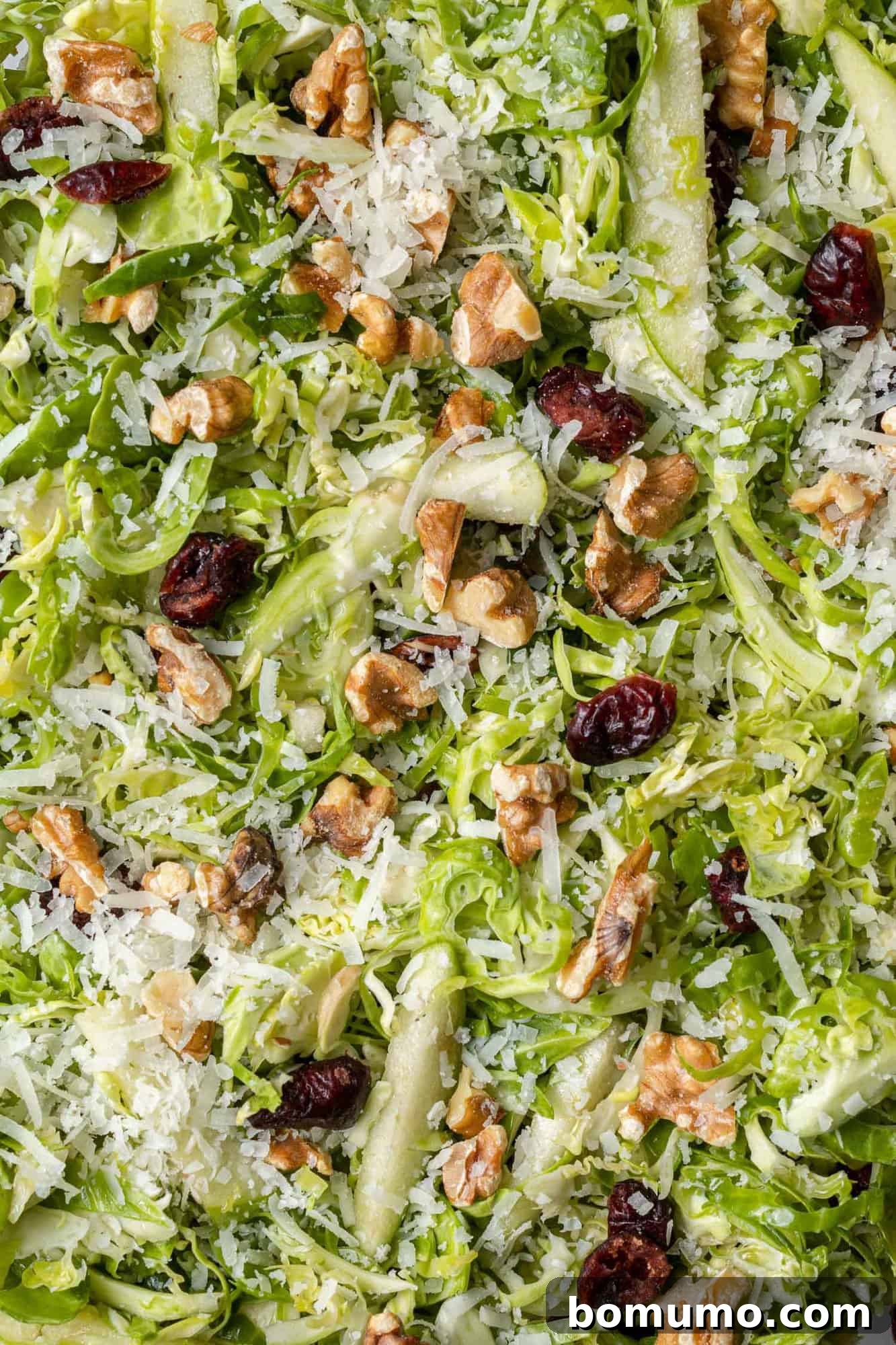 Close up shot of shredded Brussels sprouts, walnuts, cranberries, and Pecorino Romano cheese, highlighting the salad's vibrant components.