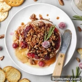 An overhead view of a luscious baked brie, generously topped with cranberries and bourbon pecans.