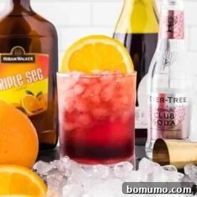 A refreshing red wine spritzer, surrounded by the fresh ingredients used to make it.