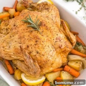 A whole roasted chicken in a white baking dish, surrounded by golden-brown roasted potatoes and carrots.