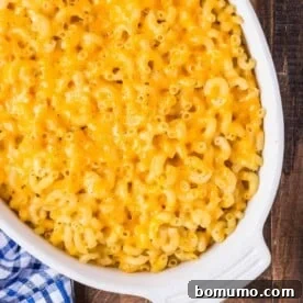 Baked macaroni and cheese with a golden-brown crust in a white oval casserole dish.