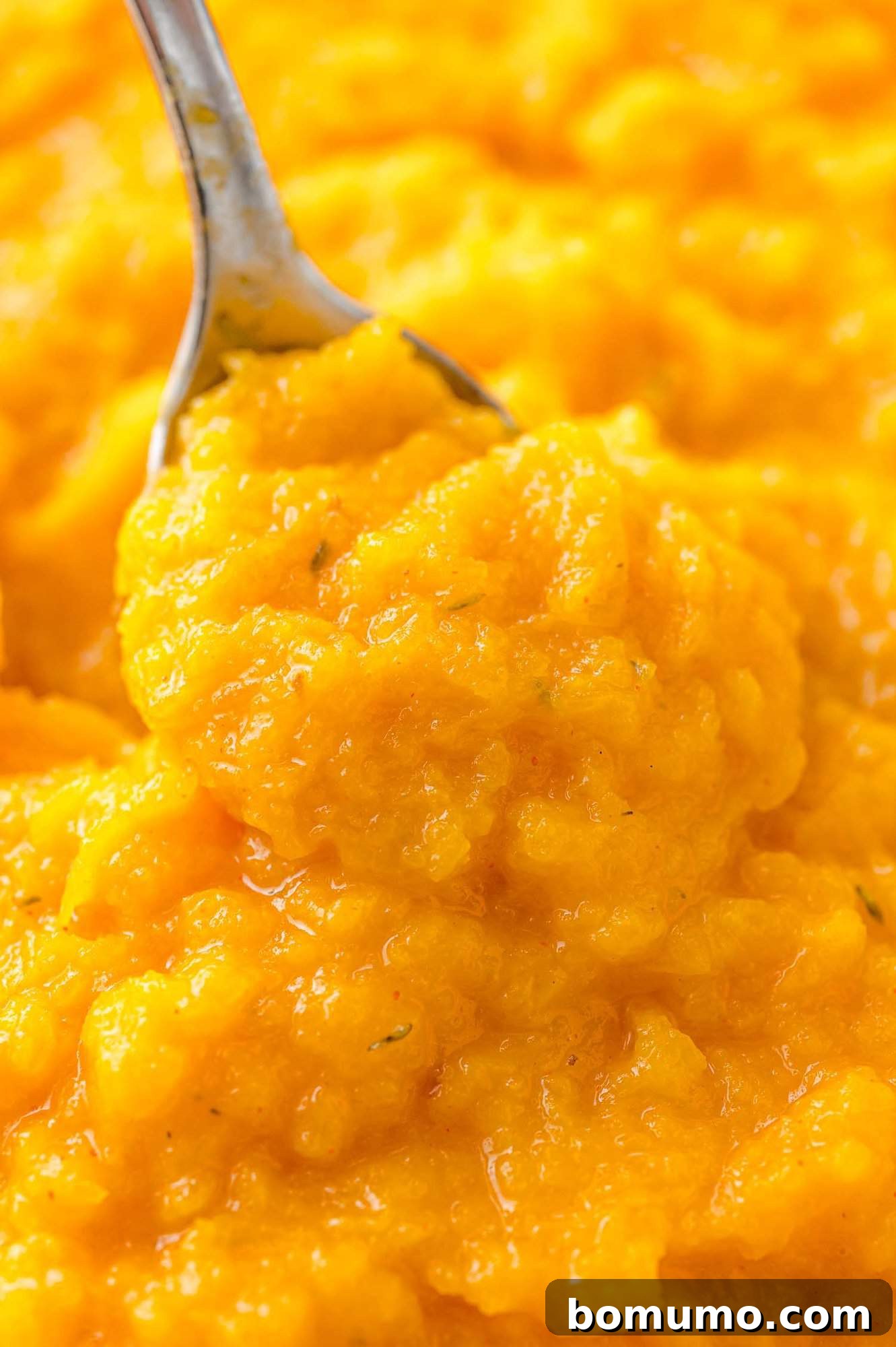 A spoon scooping through mashed butternut squash, close up view.