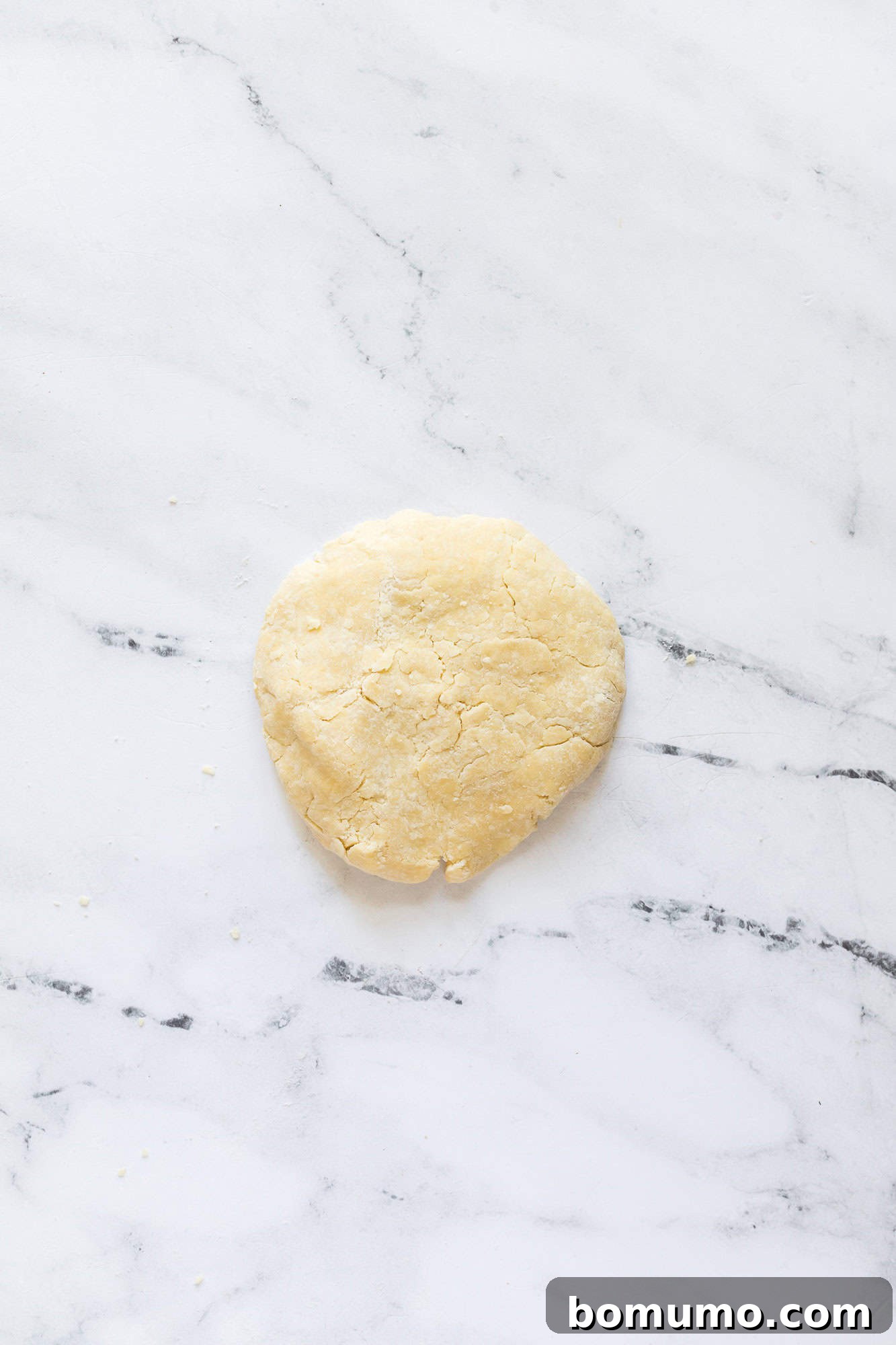 The prepared pie crust shaped into a small, flat disk, ready for chilling.