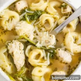 Hearty chicken tortellini soup with fresh kale and a swirl of vibrant pesto, topped with a delicate sprinkle of cheese.