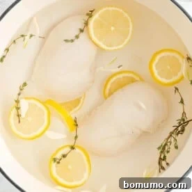 Perfectly poached chicken breasts in a pan with aromatic lemon slices and fresh thyme, ready for shredding or dicing into versatile meals.