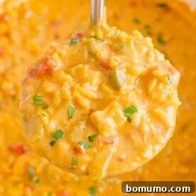 A ladle filled with rich Mulligatawny soup, showcasing its creamy texture and exotic spices, ready to be served.