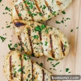 A close-up of a perfectly grilled chicken breast, beautifully marinated in Italian herbs and dressing, and garnished with fresh chopped parsley.