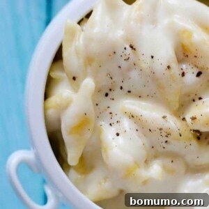 Copycat Panera Mac and Cheese -- made in one pan only! On RachelCooks.com