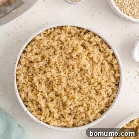 Fluffy cooked quinoa in a bowl, ready to be served or used in a recipe.