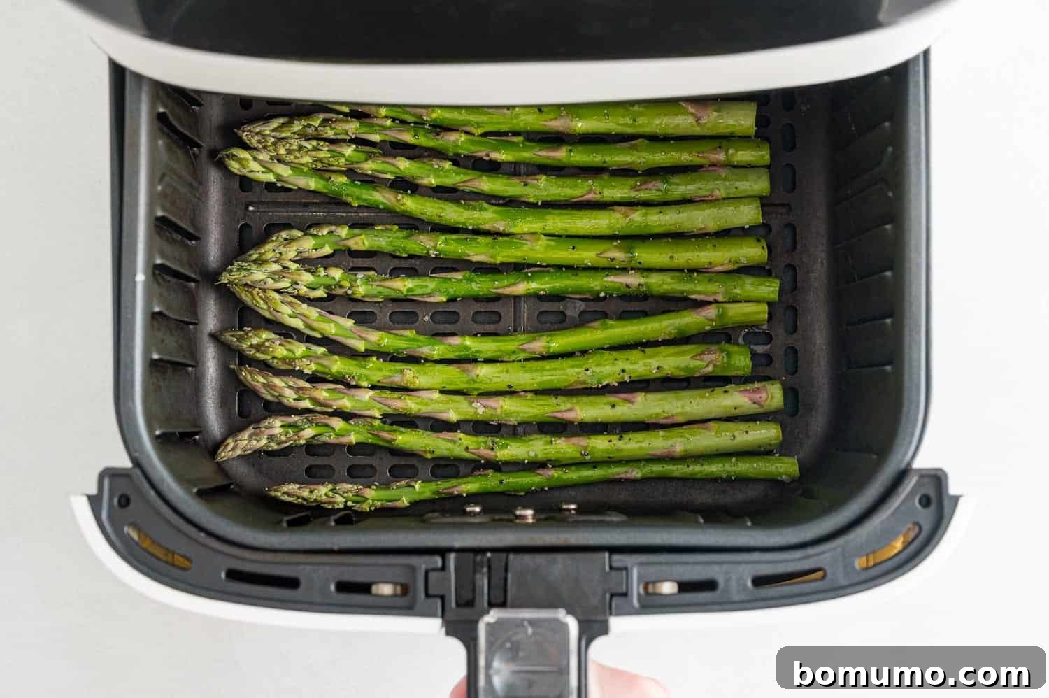 Uncooked, seasoned asparagus spears neatly arranged in a single layer within an air fryer basket, ready for the cooking process.
