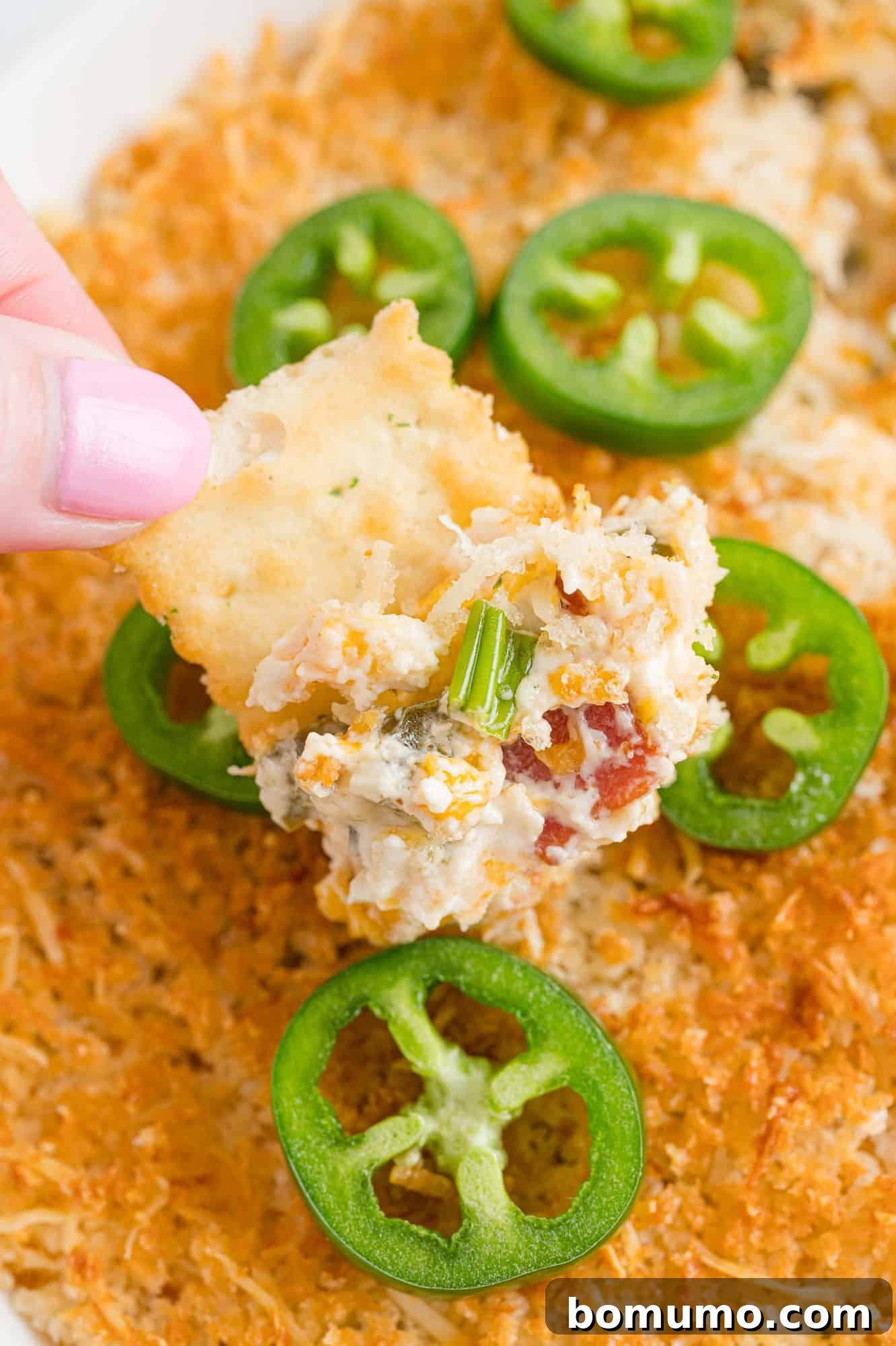 Jalapeño popper dip on a cracker and in baking dish. A golden brown, bubbly dip with vibrant green jalapeño slices and crispy bacon bits.