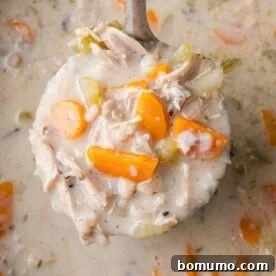 Ladle full of crockpot chicken wild rice soup.