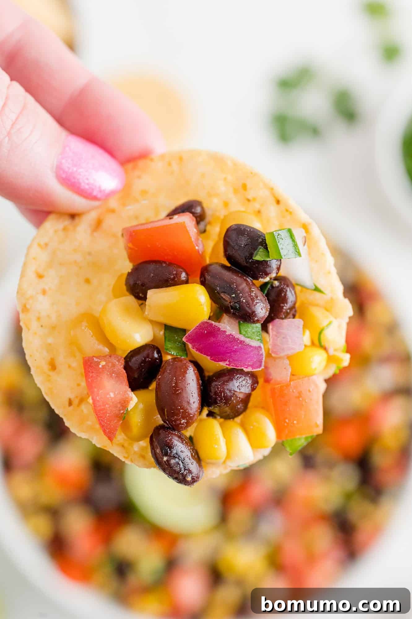 Fiesta Black Bean Corn Salsa 3 A close-up shot of homemade black bean corn salsa generously piled onto a crispy tortilla chip.