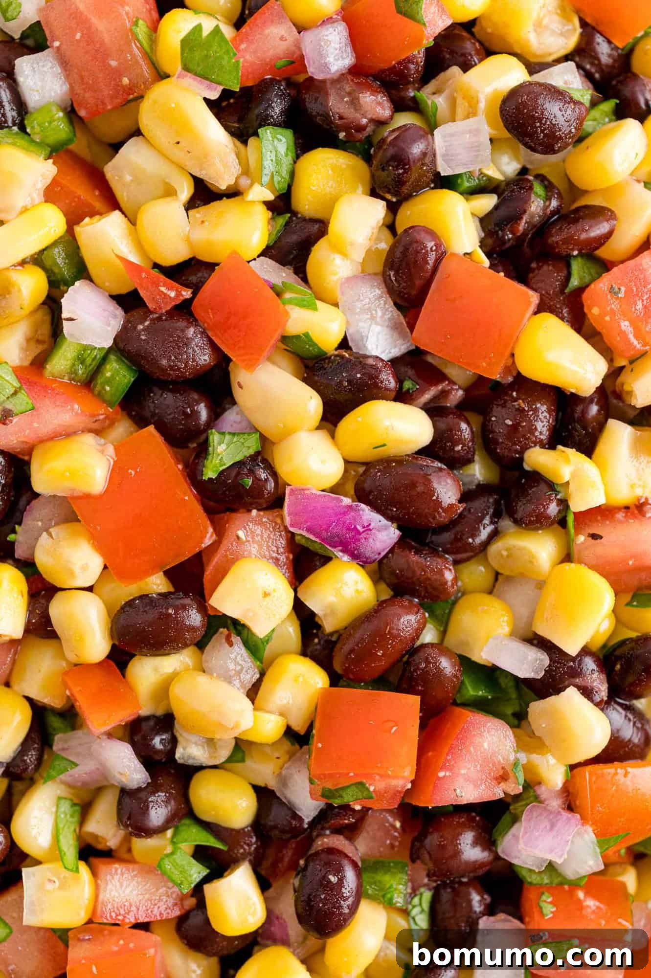 Fiesta Black Bean Corn Salsa 7 A close-up shot of the vibrant and fresh black bean corn salsa, filling the entire frame of the image.