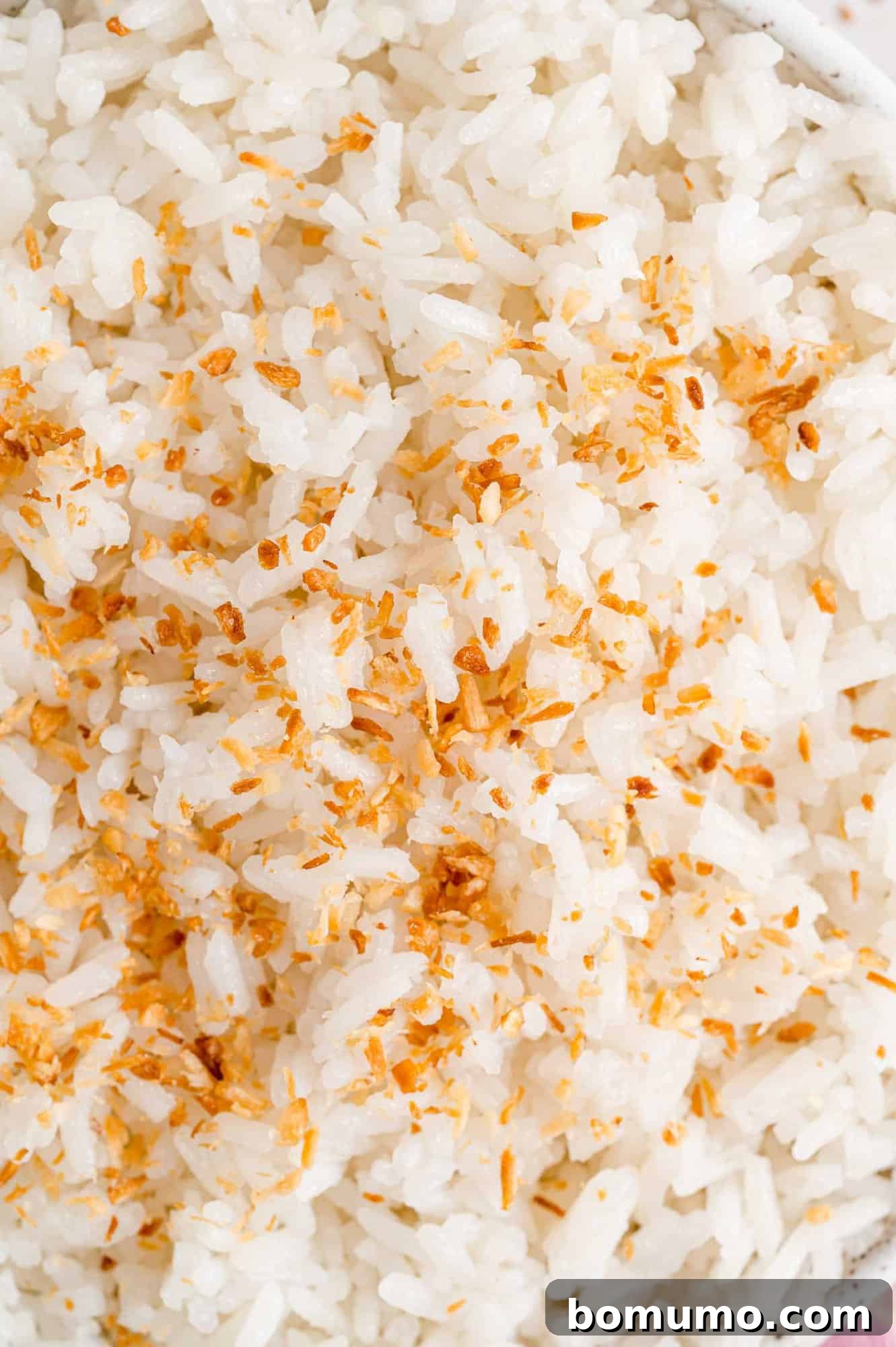 Tropical Coconut Bliss 11 A close-up shot of fluffy, delicious coconut rice, filling the entire frame with its inviting texture.
