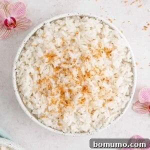 Coconut Rice sprinkled with golden toasted coconut flakes.