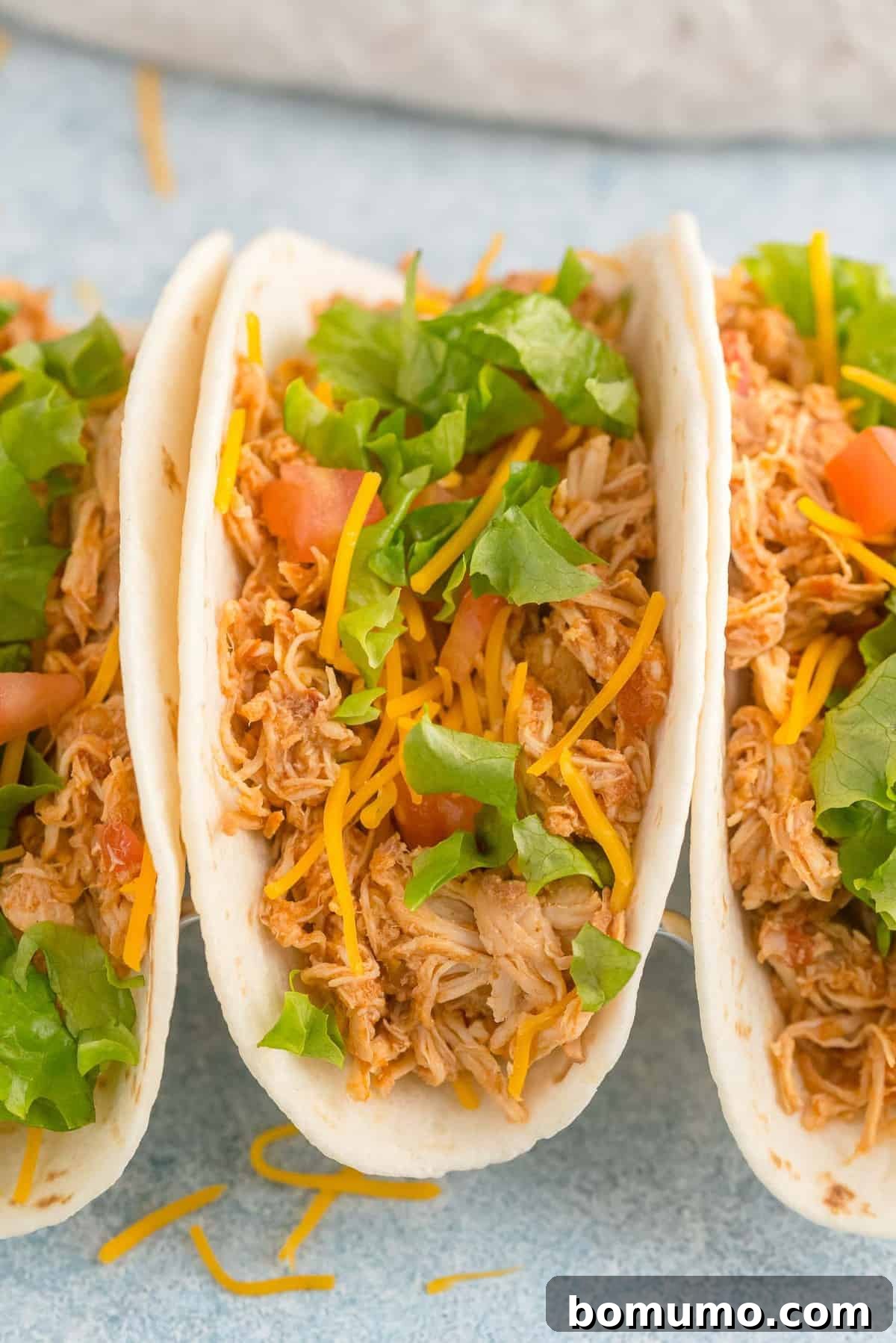 Close up of a chicken taco.