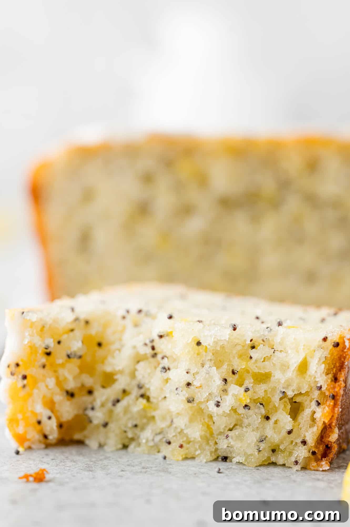 A close-up view of a slice of lemon poppy seed bread, showing its moist, tender crumb, perfectly baked texture, and scattered poppy seeds, with a bite taken out to highlight its appeal.