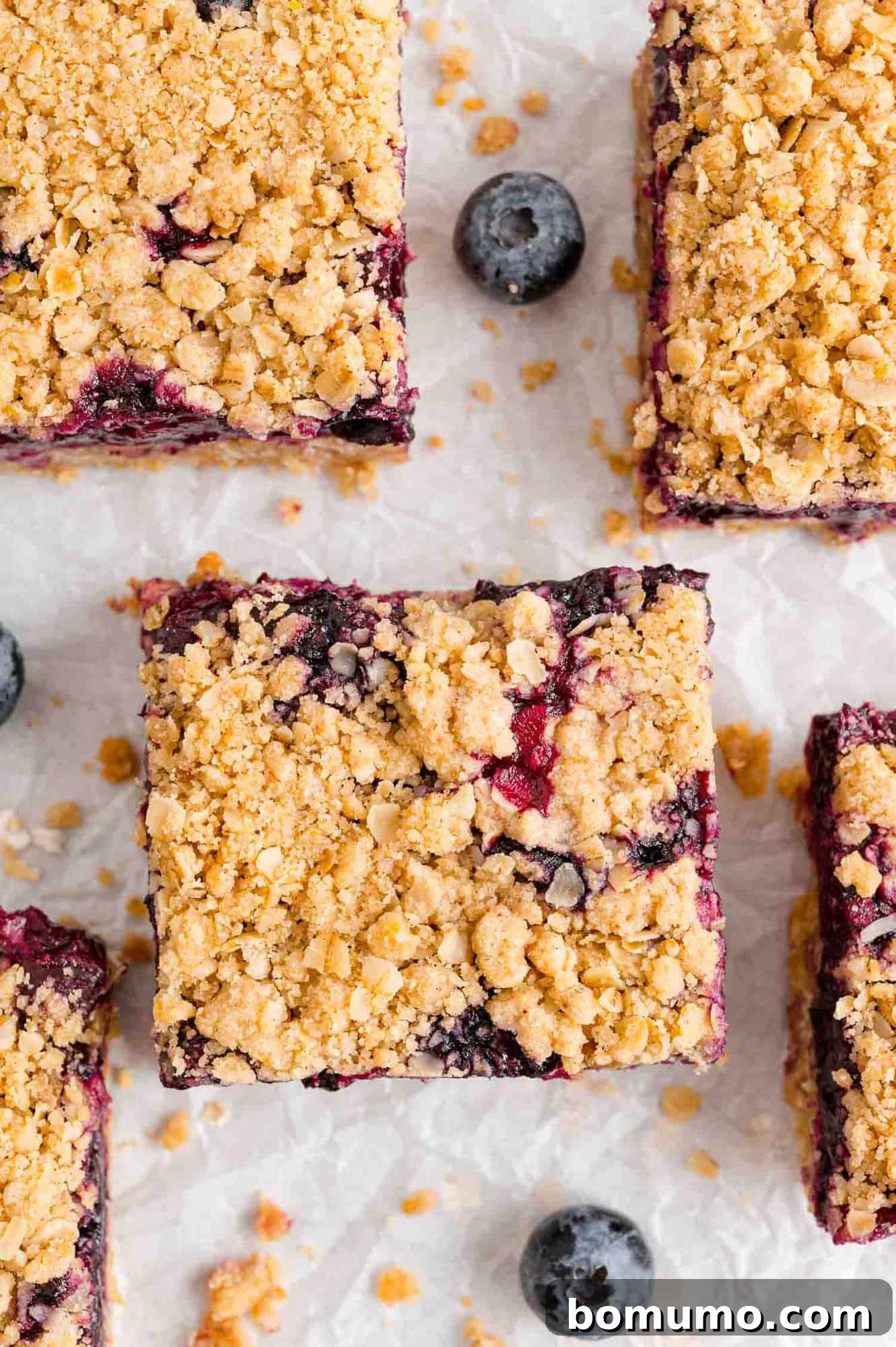 Overhead view of freshly baked blueberry crumb bars on a cooling rack.