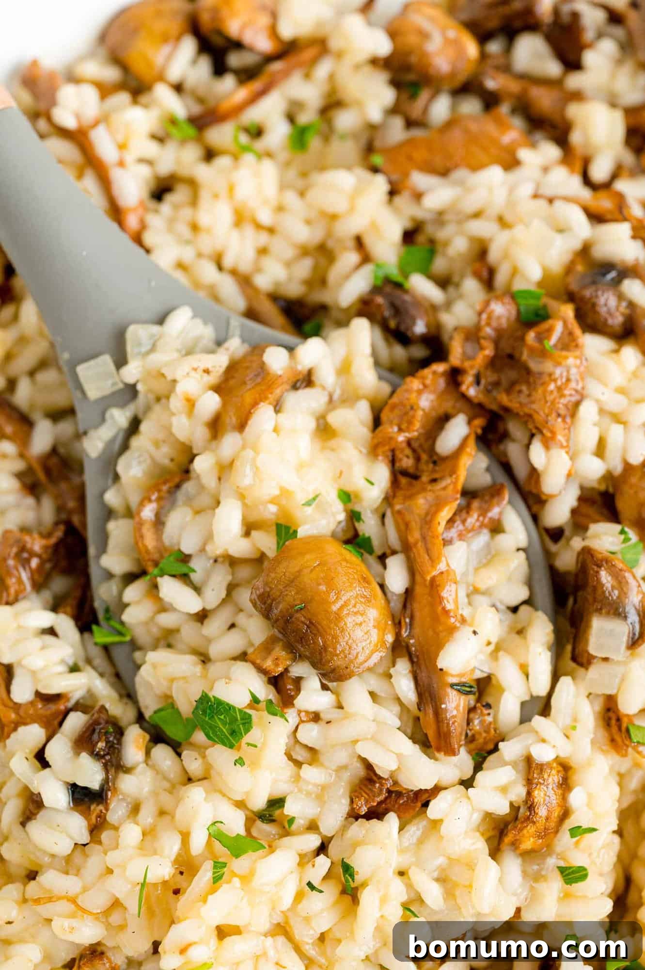 Serving Homemade Mushroom Risotto A large serving spoon scooping up a portion of creamy mushroom risotto from a deep pot.