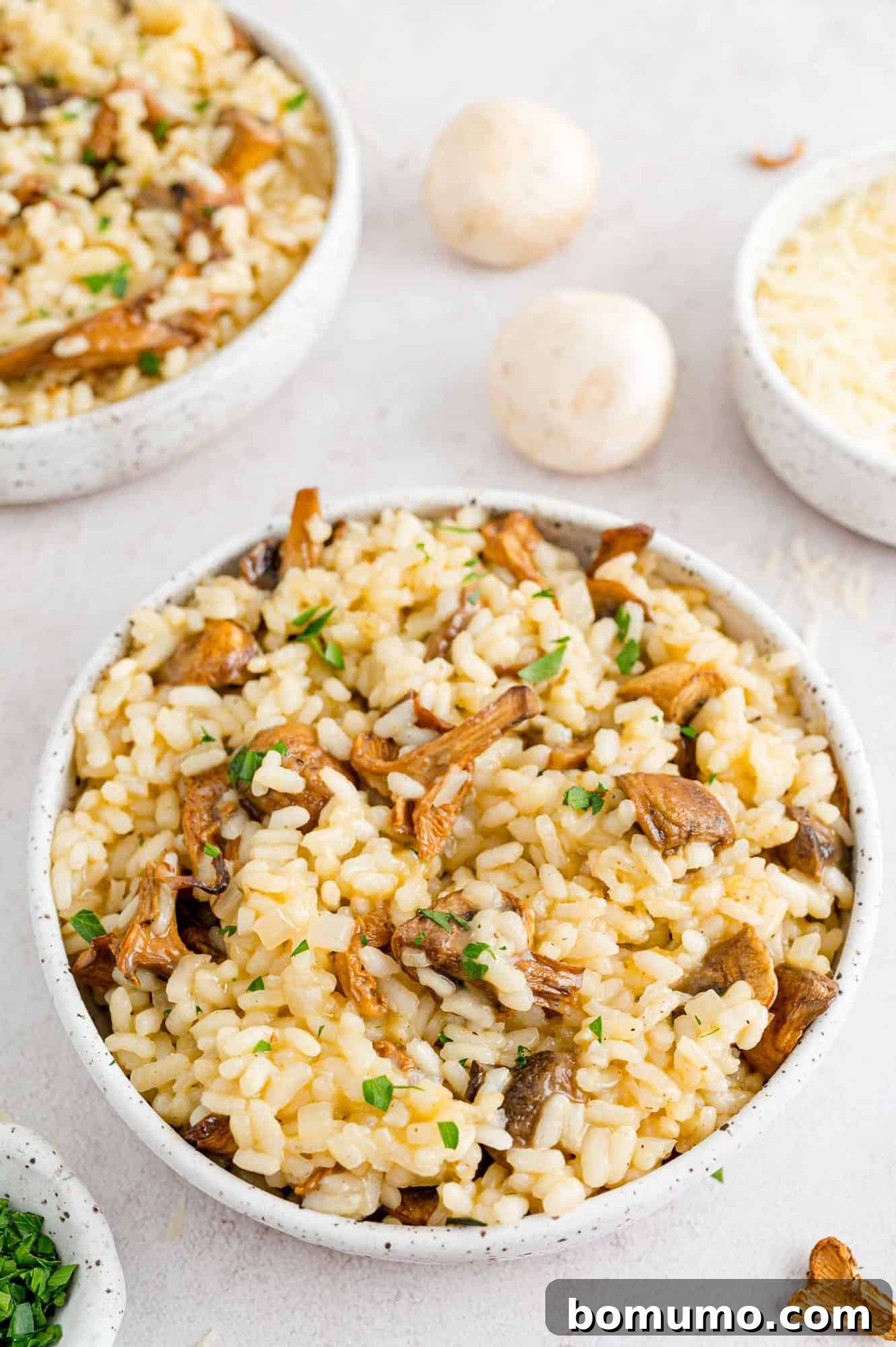 Beautifully Plated Mushroom Risotto with Fresh Ingredients A bowl of creamy mushroom risotto presented alongside scattered whole white mushrooms and a second bowl in the background.