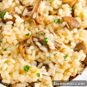Creamy mushrooms risotto garnished with fresh parsley.