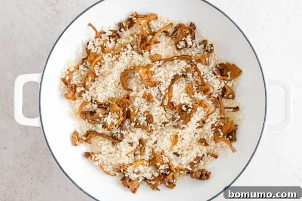 Toasting Arborio Rice for Risotto Arborio rice added to a skillet with sautéed chanterelle mushrooms, garlic, and onion, ready to be toasted.