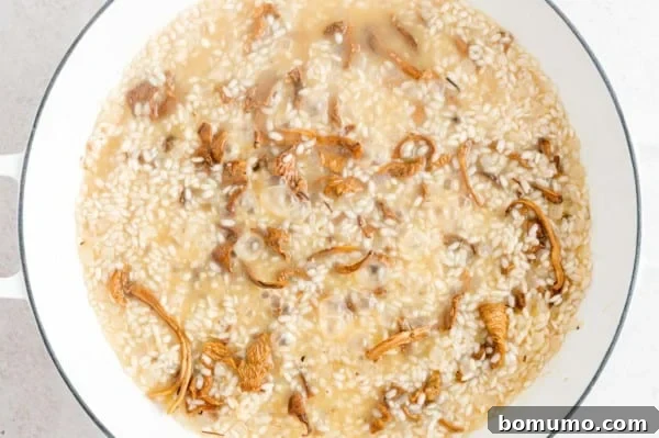 Continuous Stirring for Creamy Risotto Additional broth being added to the mushroom risotto in a skillet, mid-cooking process.