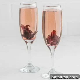 Two hibiscus mimosas against a white background, garnished with hibiscus flowers.