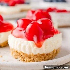 A no-bake cheesecake with a graham cracker crust, topped generously with bright red cherry topping, served on a pristine white plate.