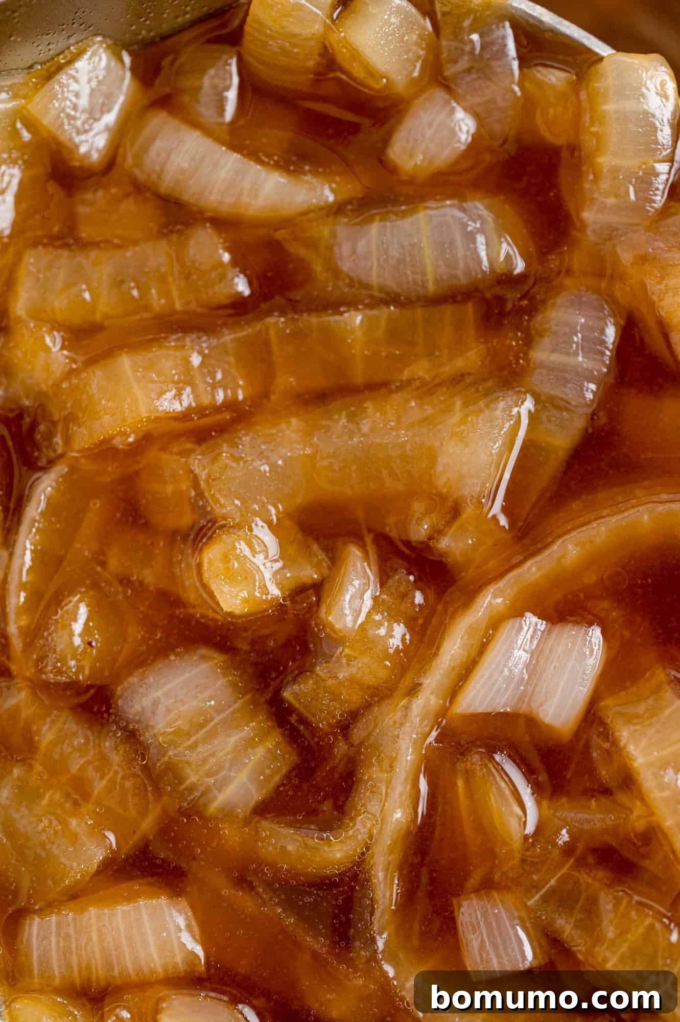 Close up image of French onion soup in a white bowl, showcasing the rich broth and soft onions.