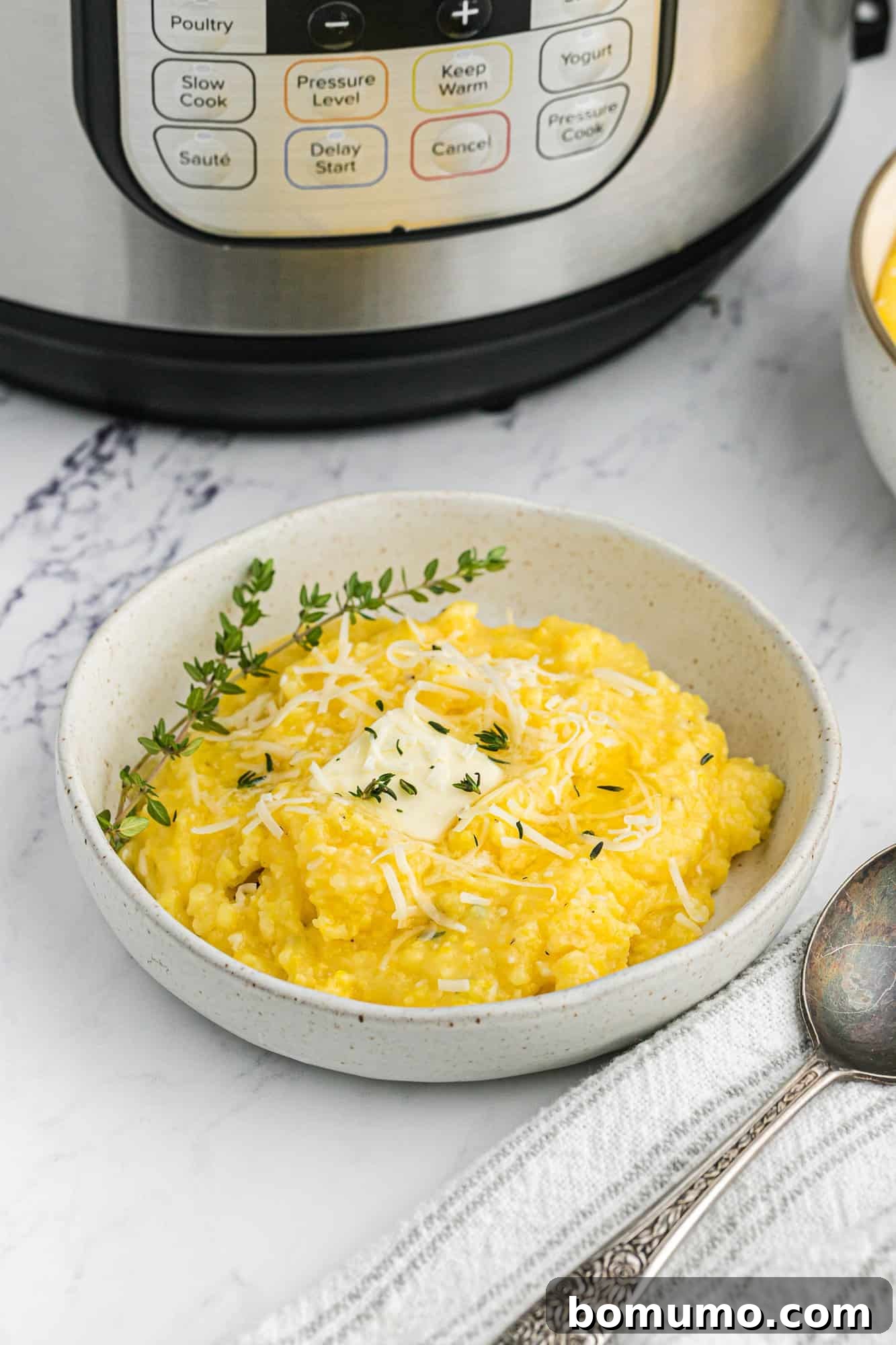 Creamy polenta in a bowl, with the Instant Pot visible in the background, ready to be served.