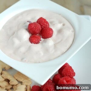 This raspberry cheesecake yogurt dip is a great summertime treat and perfect for dunking fruit, crackers, or cookies into it. Get the sweet dip recipe on RachelCooks.com