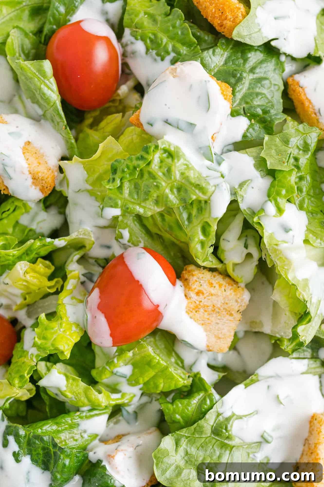 Vibrant green salad generously drizzled with creamy homemade ranch dressing, showcasing its perfect consistency.