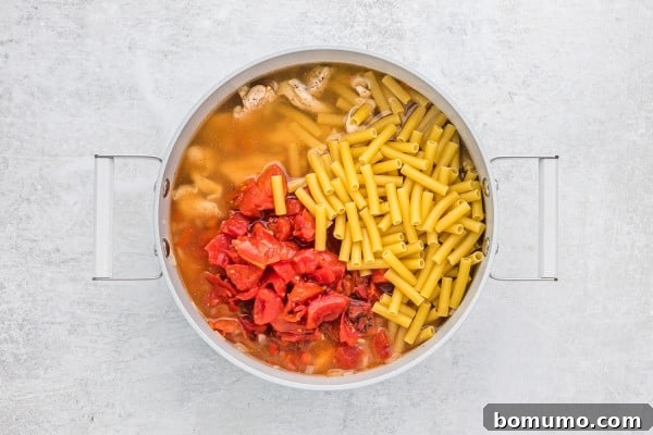 Uncooked pasta, fire-roasted tomatoes, and chicken broth added to the pan.