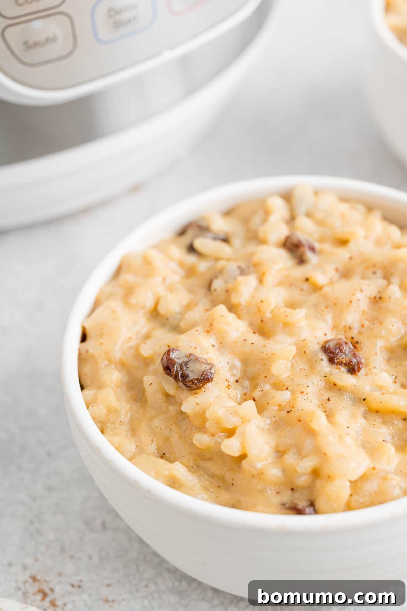 A bowl of creamy Instant Pot rice pudding, garnished with a few raisins, ready to be enjoyed.