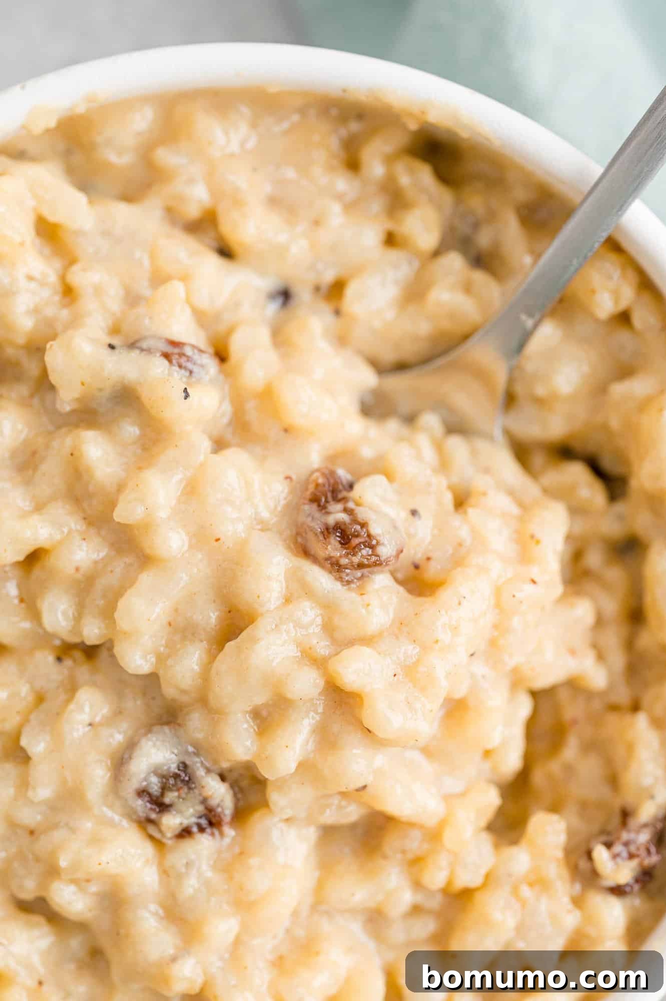 A spoonful of Instant Pot rice pudding held over a full bowl, ready to be eaten.