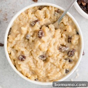 Instant pot rice pudding with raisins.