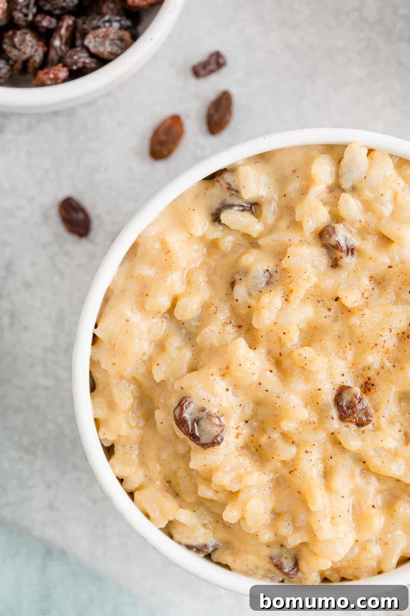 A close-up view of perfectly cooked Instant Pot rice pudding in a white ceramic bowl, showcasing its creamy texture.