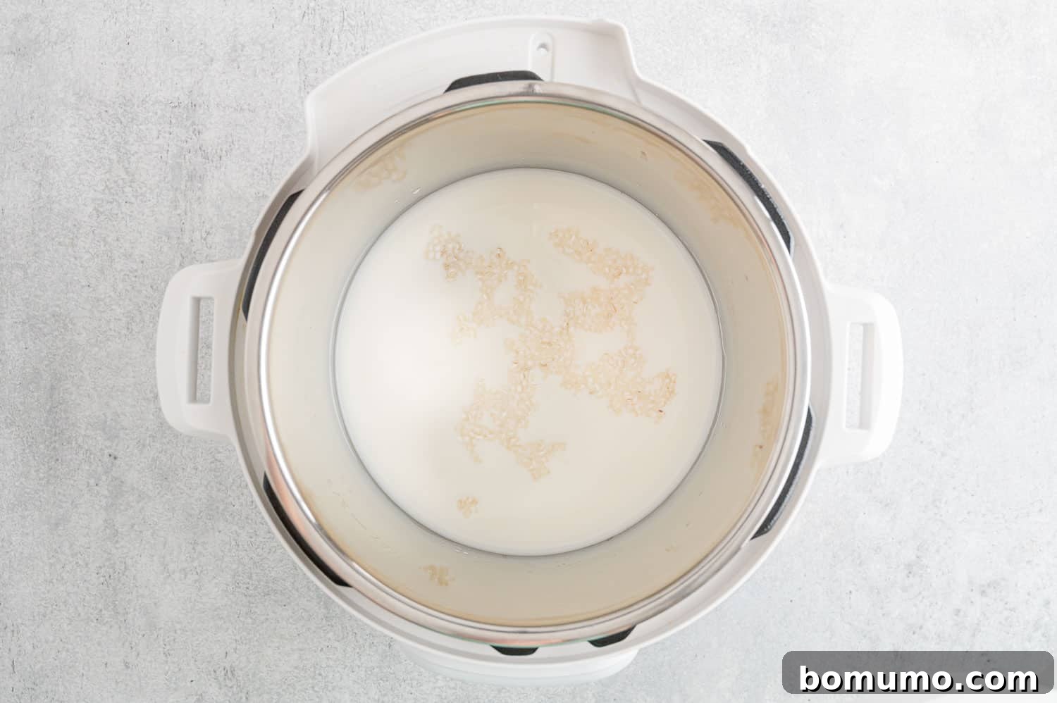 Basmati rice, milk, water, and salt combined inside an Instant Pot, before cooking.