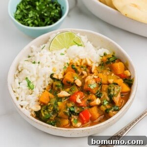 A vibrant bowl of creamy butternut squash curry with rice, ready to eat.