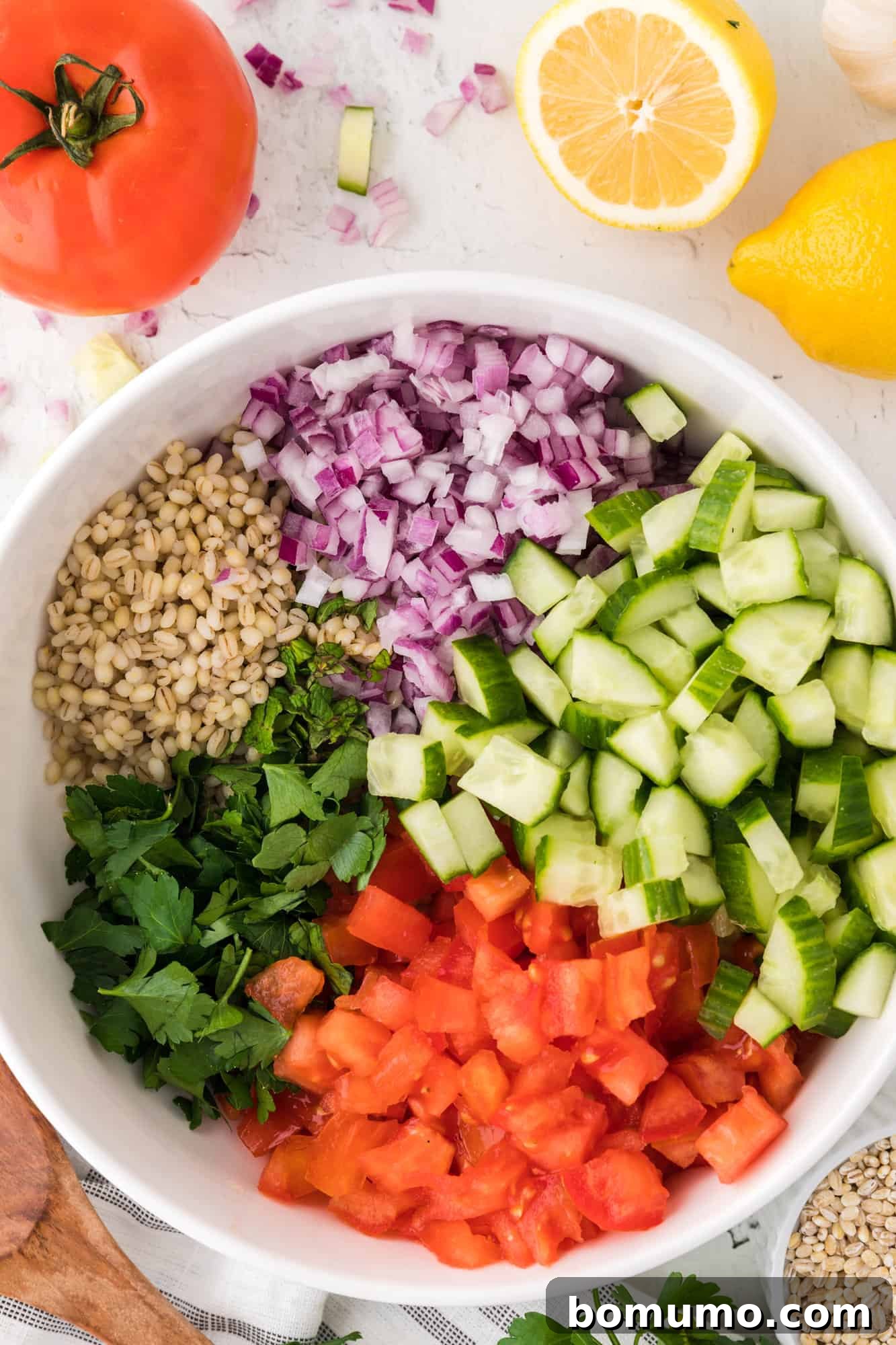 Salad, not yet mixed together.