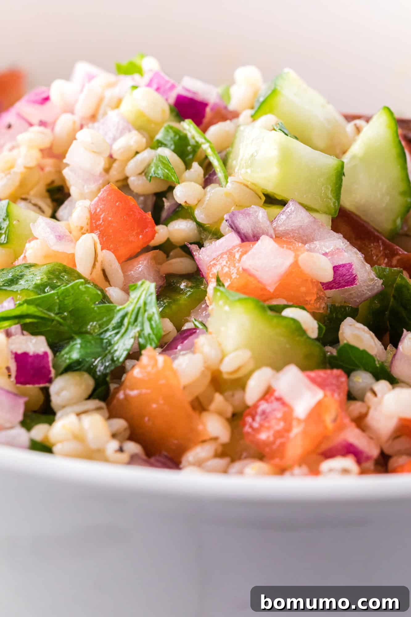 Close up image of barley salad with cucumber, tomato, onion, herbs.