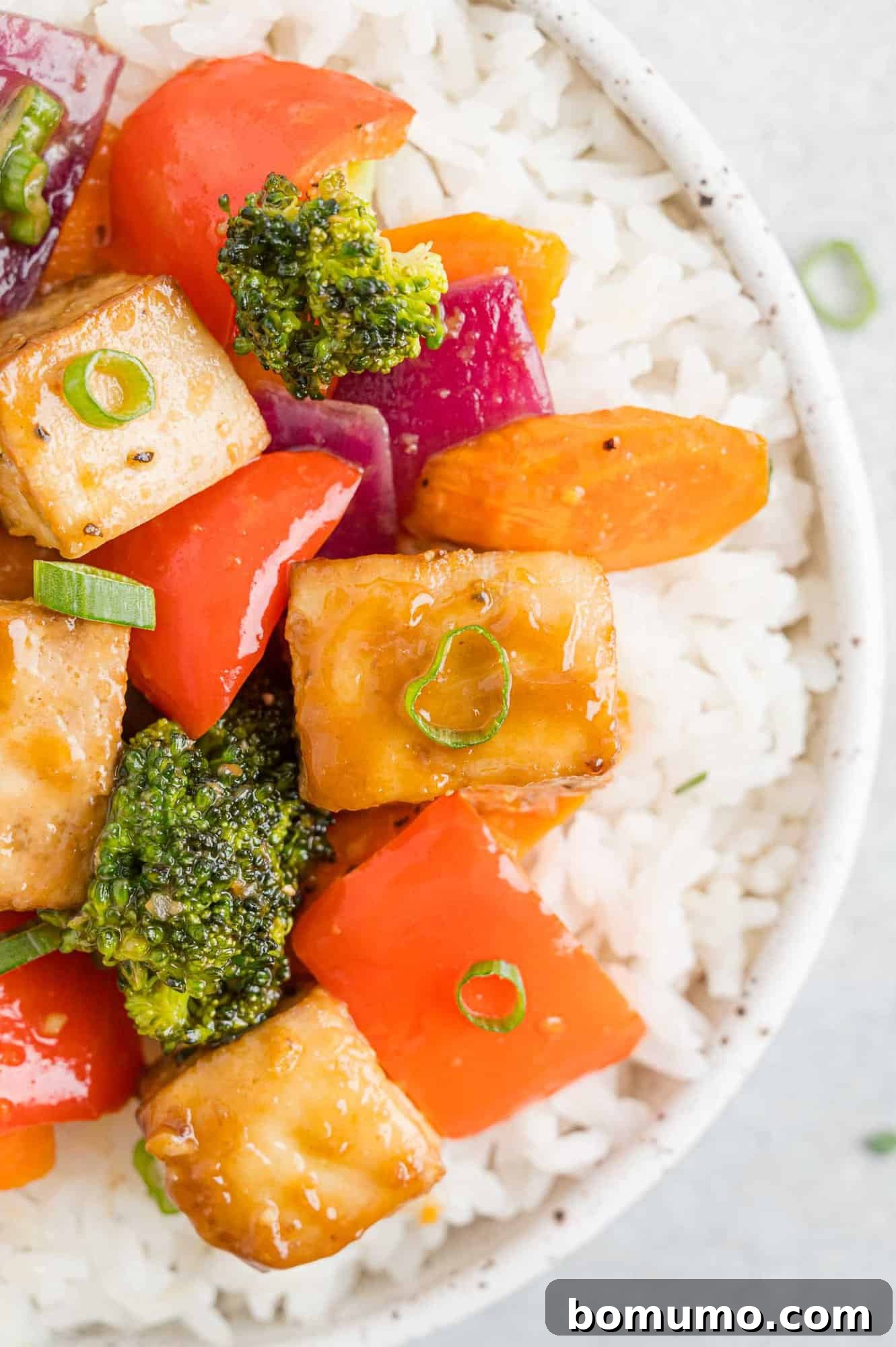 A close-up shot of a serving of roasted tofu and vegetables, garnished and perfectly portioned on a bed of fluffy rice.