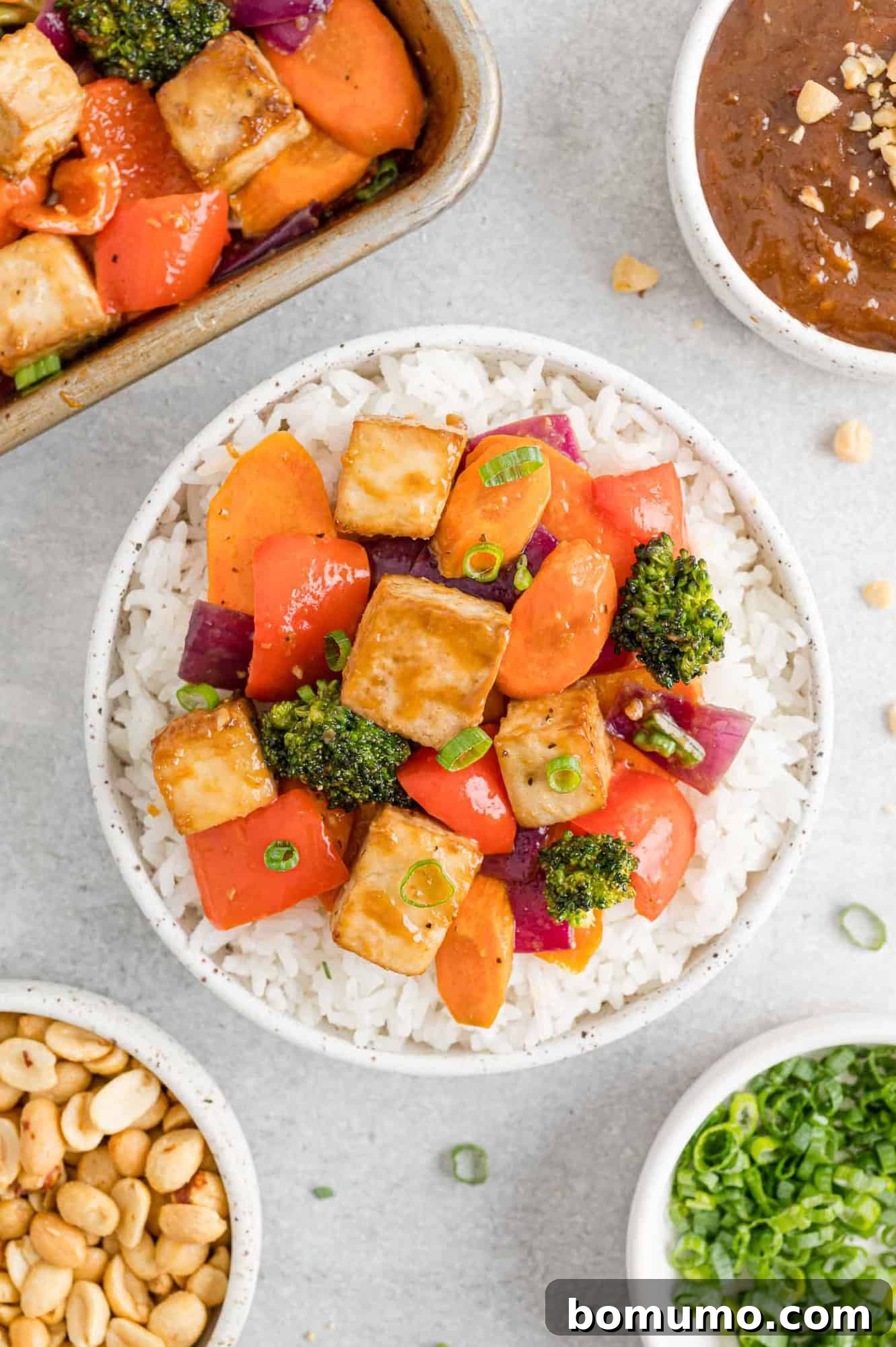 A beautifully plated bowl of tofu stir-fry served alongside fluffy steamed rice, garnished with fresh herbs.