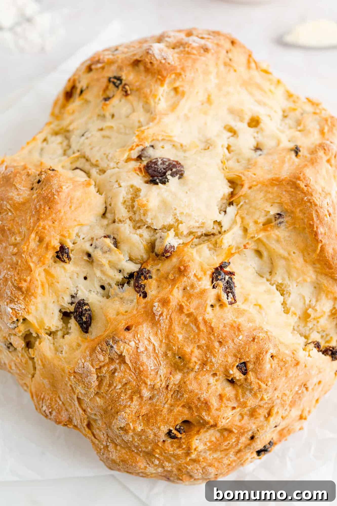 Overhead view of unsliced, freshly baked Irish soda bread.