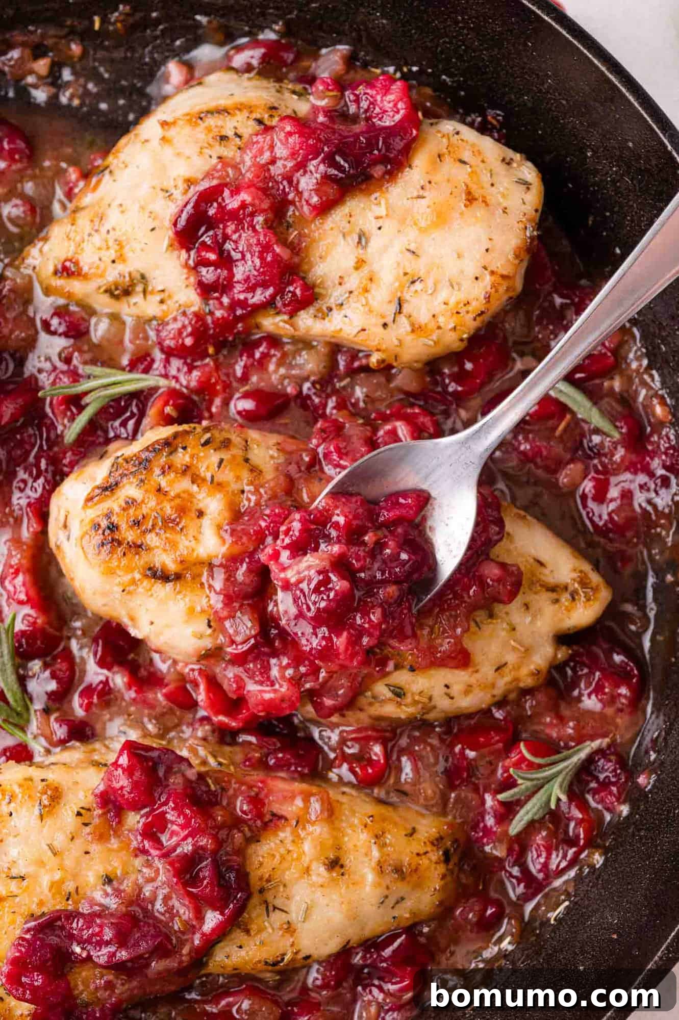 Cranberry Glazed Chicken 14 Three cooked chicken breasts with cranberry sauce in a skillet.